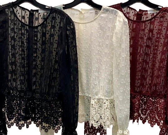 Blusa de Encaje Manga Larga